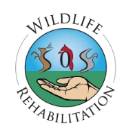 Wildlife Rescue Society of Saskatchewan Wildlife Rescue Society of Saskatchewan